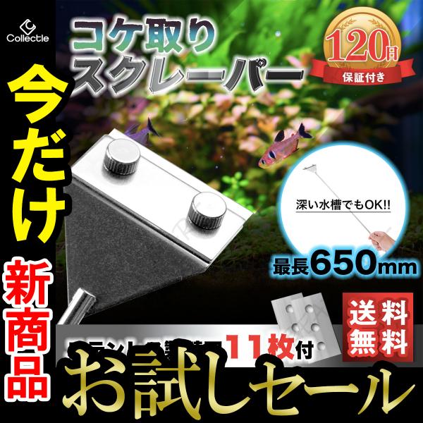 苔 除去 水槽の価格と最安値 おすすめ通販を激安で