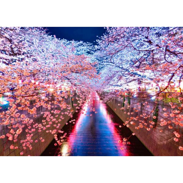 絵画風 壁紙ポスター 地球の撮り方 輝く川面 東京都目黒川の夜桜ライトアップ さくら 桜 絶景スポット キャラクロ C Zjp 007a2 版 594mm 4mm C Zjp 007a2 レアルインターショップ 通販 Yahoo ショッピング