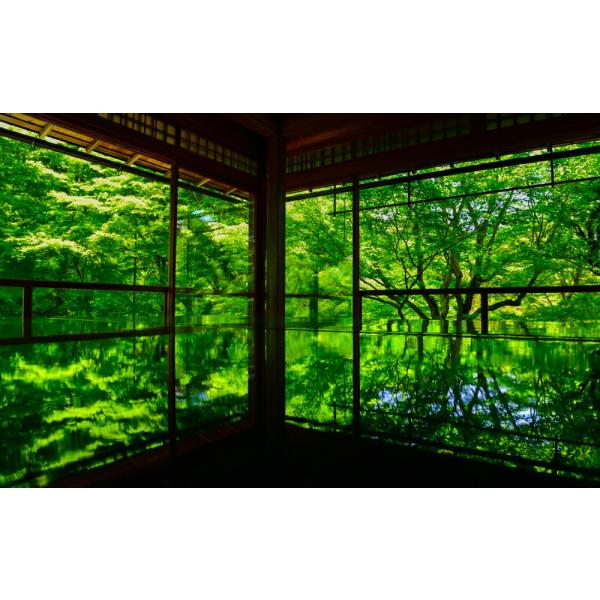 絵画風 壁紙ポスター 地球の撮り方 新緑が反射する床もみじ 京都八瀬の瑠璃光院の春の特別拝観 キャラクロ C Zjp 051w1 ワイド版 921mm 576mm Buyee Buyee Japanese Proxy Service Buy From Japan Bot Online