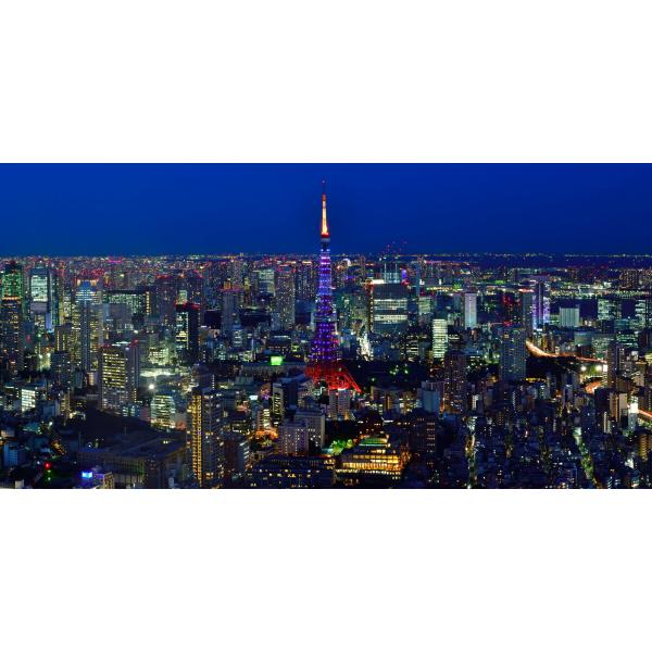 絵画風 壁紙ポスター (はがせるシール式) -地球の撮り方- 東京タワーを 