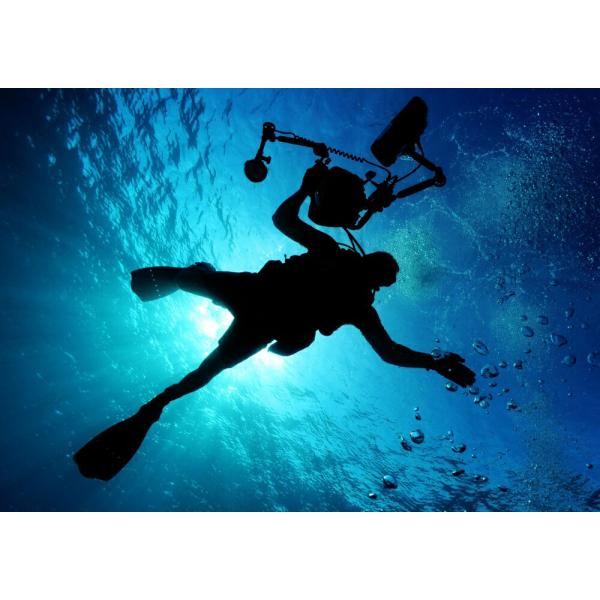 絵画風 壁紙ポスター ダイビング スキューバ ダイバー 深海 海 海底