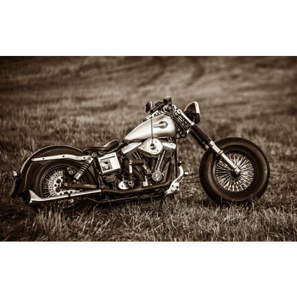 real-inter_hdfx-002w2