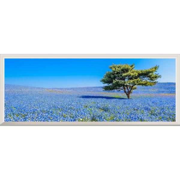 絵画風 壁紙ポスター -窓の景色- 国営ひたち海浜公園 春のみはらしの丘 ネモフィラ 【扉なし窓仕様】 キャラクロ HTKK-001NP1 (パノラマ版 1440mm×576mm)