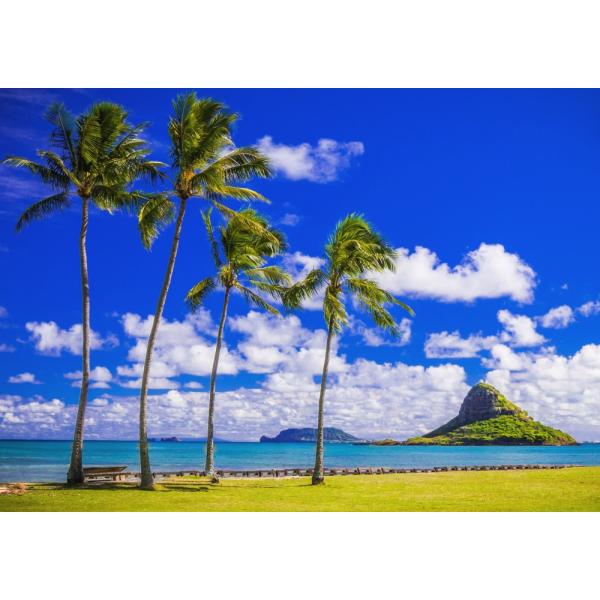 real-inter_hwi-030a2