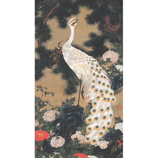 新版 絵画風 壁紙ポスター 伊藤若冲 群魚図 鯛 じゃくちゅう 生誕300年 キャラクロ K Itj 028s1 576mm 1043mm 第1位獲得 Farmerscentre Com Ng