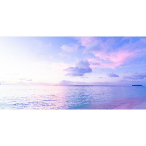 油絵 海 雲 紫 real-inter_s-sea-001s1