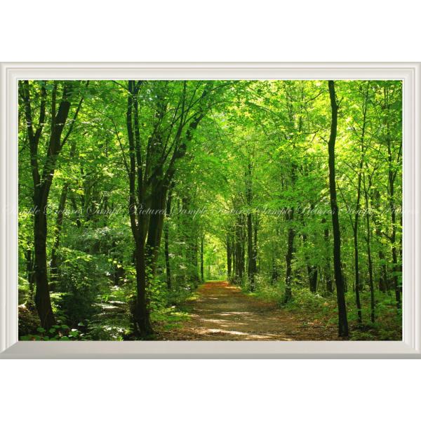 real-inter_snr-028na2