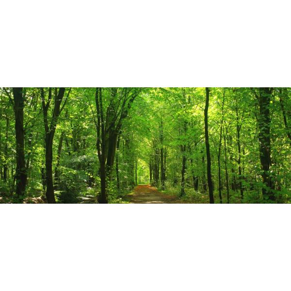 real-inter_snr-102p1