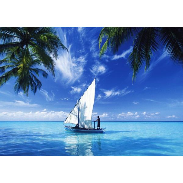 real-inter_syht-006a1