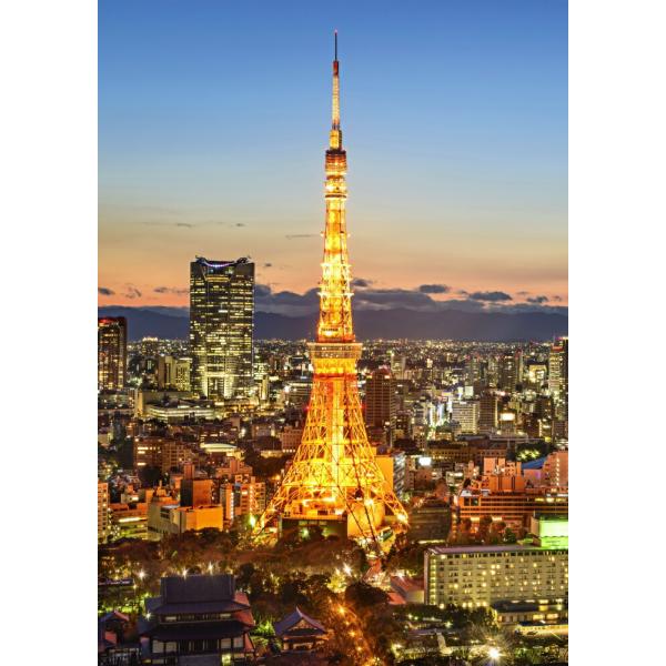 絵画風 壁紙ポスター 夕暮れの東京タワー 夜景 夕焼け 六本木ヒルズ キャラクロ Tkt 026a1 A1版 585mm 0mm Buyee 日本代购平台 产品购物网站大全 Buyee一站式代购 Bot Online