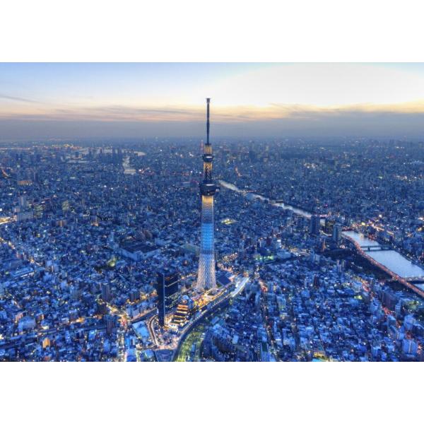 絵画風 壁紙ポスター (はがせるシール式) 東京スカイツリー 夕暮れ