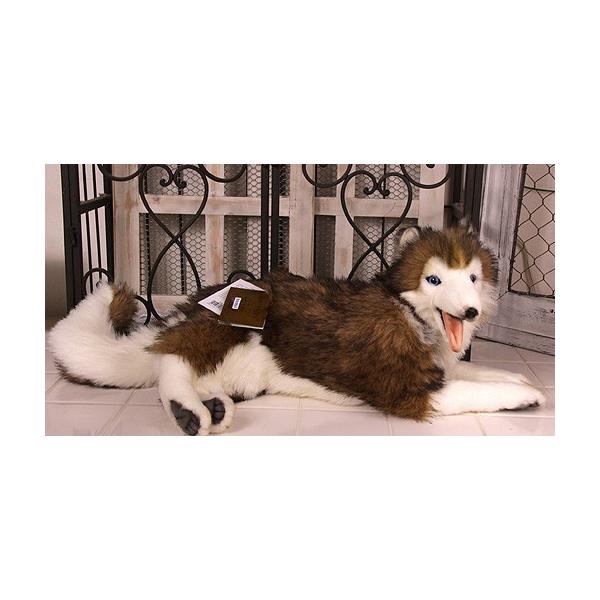 ハスキー犬 伏せポーズ リアルぬいぐるみ ハンサ製 Buyee Buyee Japanese Proxy Service Buy From Japan Bot Online
