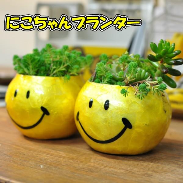 にこちゃんプランター スマイルプランター プランター おしゃれ 植木鉢 サボテン 多肉植物 スマイリーフェイス Smile フラワーベース 花瓶 C 1 リオール ウェブショップ 通販 Yahoo ショッピング