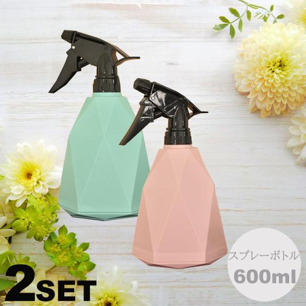 Xv[{g 600ml 2Zbg AR[Ή lւe lփ{g Vv Xv[e {g enassa