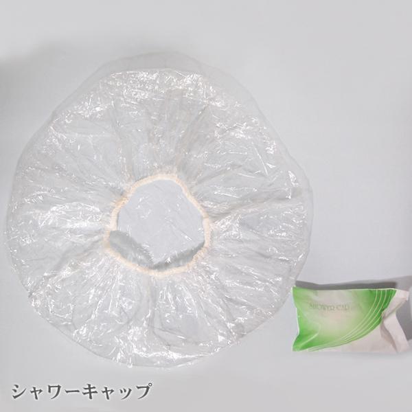 ポイントメッシュ クリアキャップ