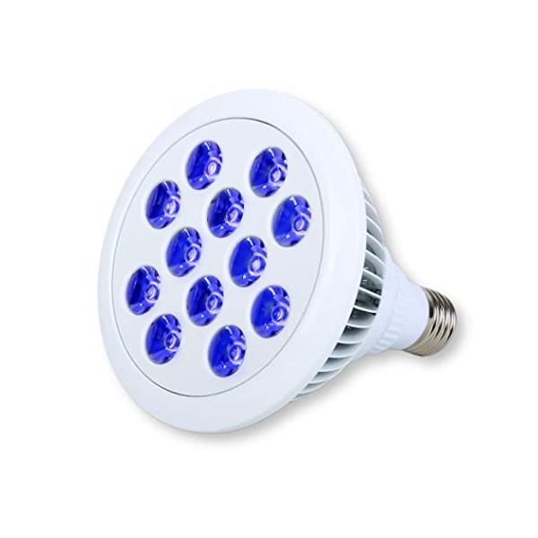 LED 電球 スポットライト 24W（2W×12灯） 水槽 照明 E26 電気 サンゴ