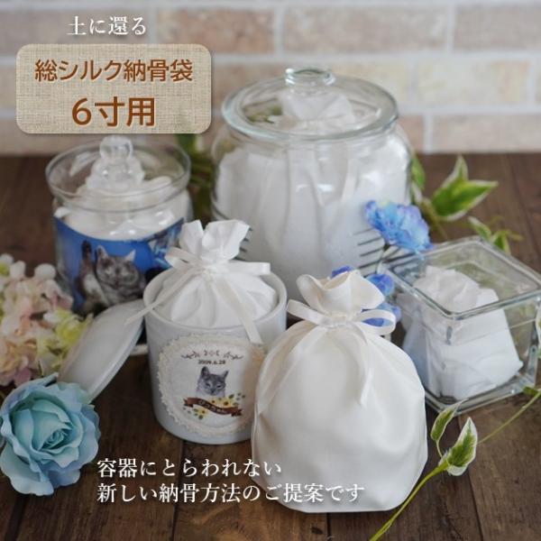 VN [  6 l Ԃ ybg 킢   VN^Cv 0378C60