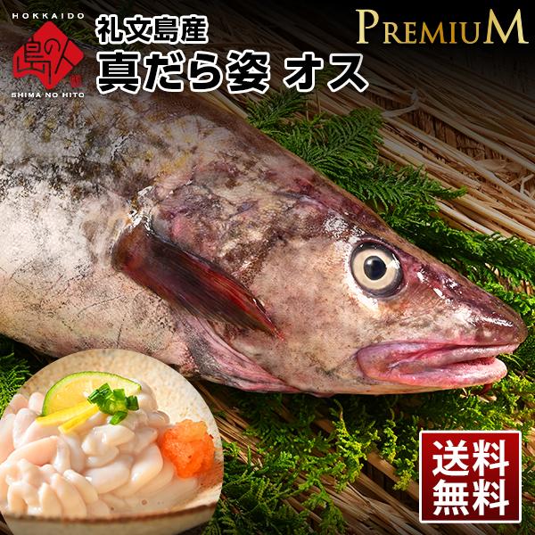 礼文島産 生 真たら姿 プレミアム オス 7 0kg前後 未冷凍 冷蔵 白子 たち 真だち 送料無料 A06 106 島の人 礼文島の四季 北海道ギフト 通販 Yahoo ショッピング