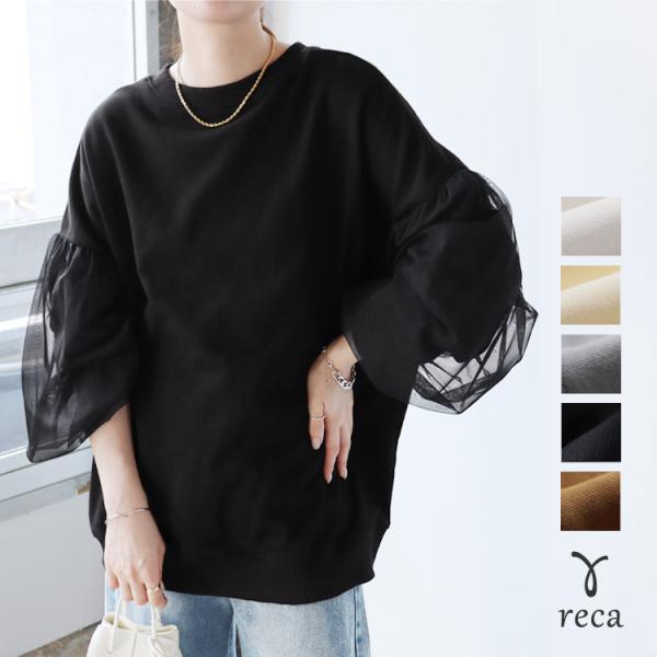 reca_r23237-s