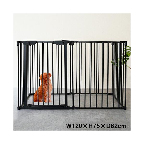 ybgQ[W MTCY 6Zbg mfB ^E^p  P[W  P[W ܂  T[N ybgT[N tFX s