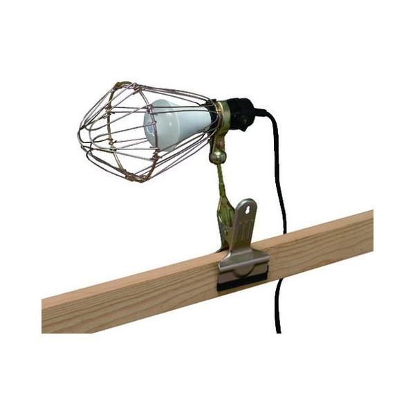 ACXI[} 228643 lZT[t^CvLEDNbvCg ILW85GSC3 s