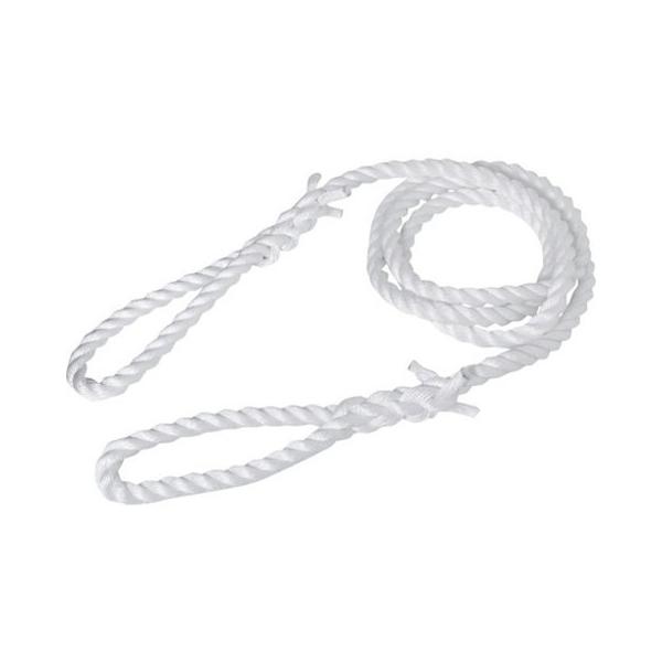 TRUSCO gXR PP[vXO 24mmX4m PP2440 s