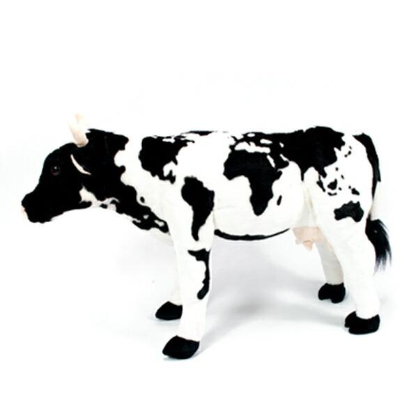 EV 8981-31 EV   ʂ ɂ܂Xc[  ʂ v[g Mtg LbY q  s