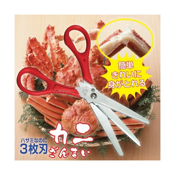 H 3nnT~ Jj܂ 807953 s [