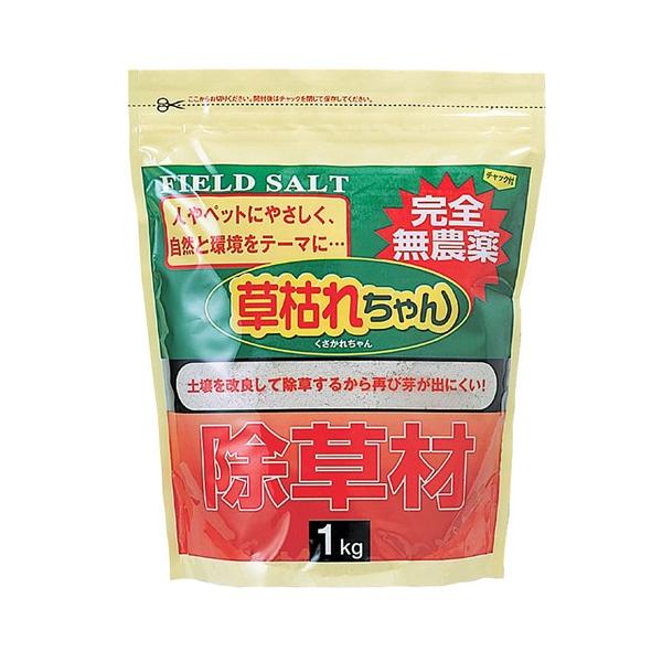 㓡  ͂ꂿ 1kg 877364 G zr[ CeA G Gݕi 㓡 s