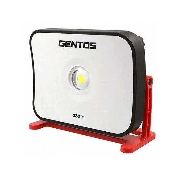 GENTOS Ganz  GZ-314 s