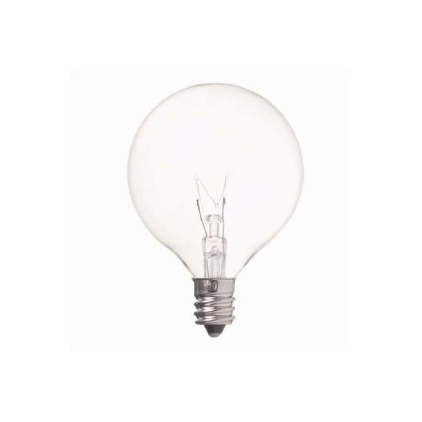 YAZAWA xr[{[10WNAE12 G501210C Ɠd Ɩ ̑̏Ɩ s