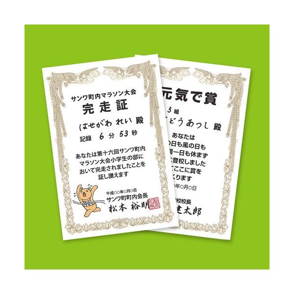 TTvC CNWFbg܏p(͂Ec) JP-SHHKTN s [