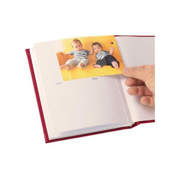 Gc~ tHgAo G|JNVbN L80 bh VE-5560 ʐ^ vo ӏ z 蕨 v[g s [