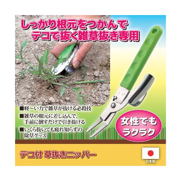 WXe eRt jbp[ 811814 811814 G zr[ CeA s