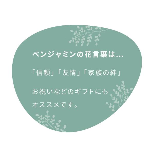 recommendo_b8-fpplant-01_2_d_20231114111732