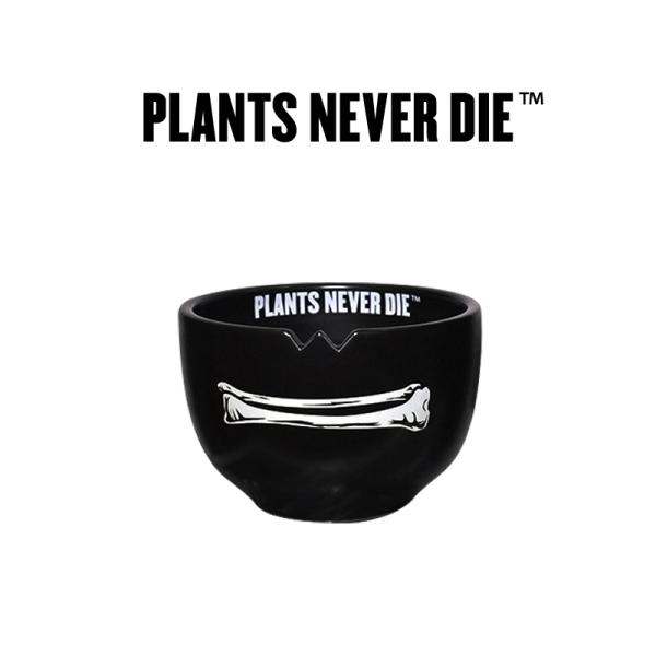 リコメン堂 plants never die 正規販売店 骨平鉢 W12.7cm×H9cm