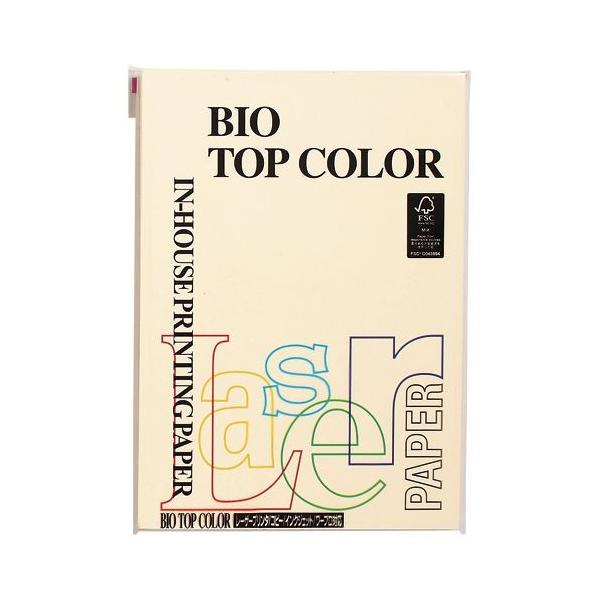 ɓ oCIgbvJ[PPC A4 N[ 1  BT101 [ ItBX pi