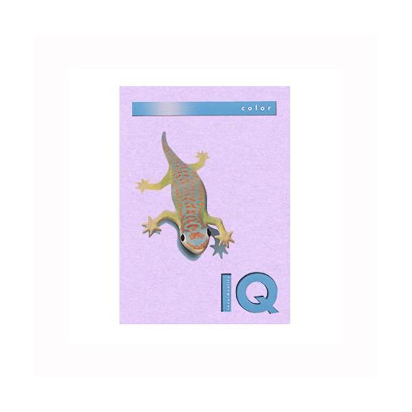 ɓ oCIgbvJ[PPC A4 x_[ 1  BT510 [ ItBX pi