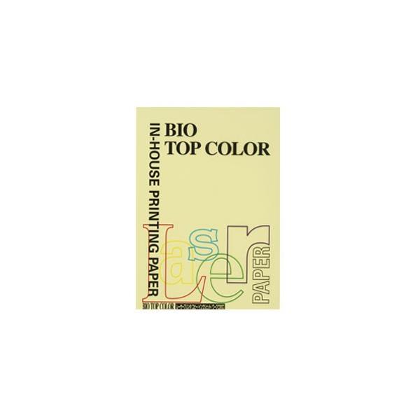 ɓ oCIgbvJ[PPC A4  1  BT127 [ ItBX pi