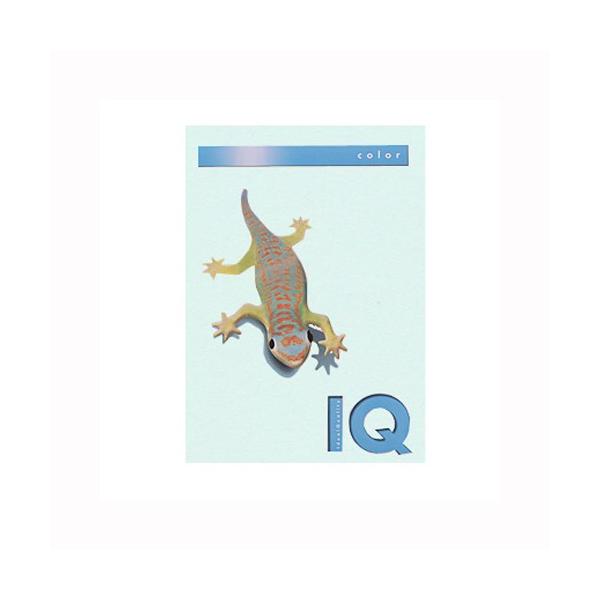 ɓ oCIgbvJ[PPC A4 u[ 1  BT807 [ ItBX pi