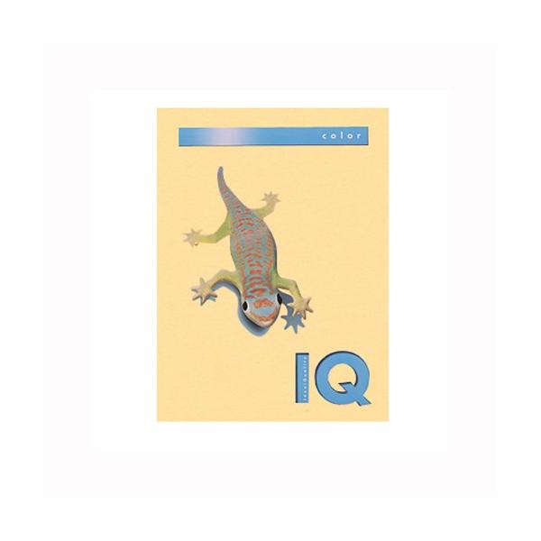 ɓ oCIgbvJ[PPC A4 T[ 1  BT815 [ ItBX pi