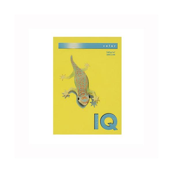 ɓ oCIgbvJ[PPC A4 }X^[h 1  BT829 [ ItBX pi