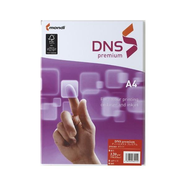 ɓ cmr@v~A@`S@PQO@zCg@QTO DNS503 1