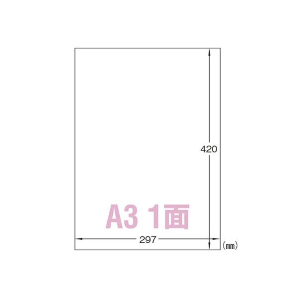 G[ Ox IJ LCɂ͂^Cv 򓧖 A3 1pbN