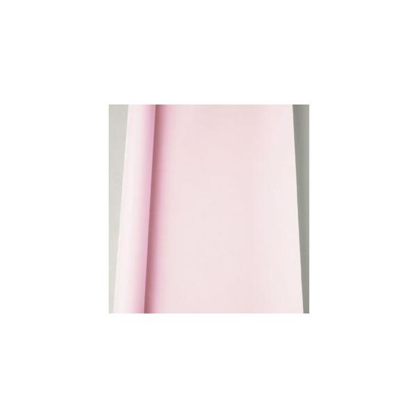 }AC }Xږ͑[^Cv 30m sN 1  }-53P [ ItBX pi