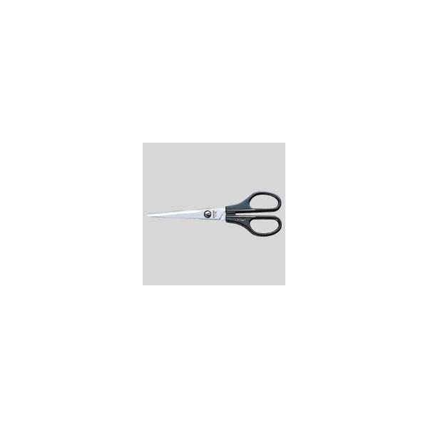 NE ͂ XeX 1  CR-HS165-B [ ItBX pi