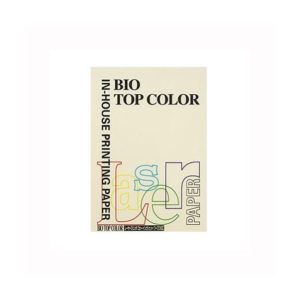 ɓ oCIgbvJ[PPC A4 oj 1  BT130 [ ItBX pi