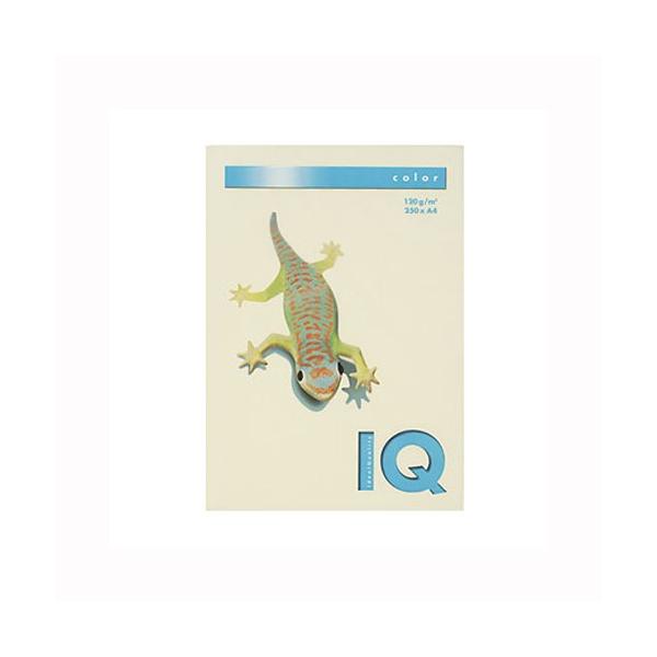 ɓ oCIgbvJ[PPC A4 oj 1  BT730 [ ItBX pi