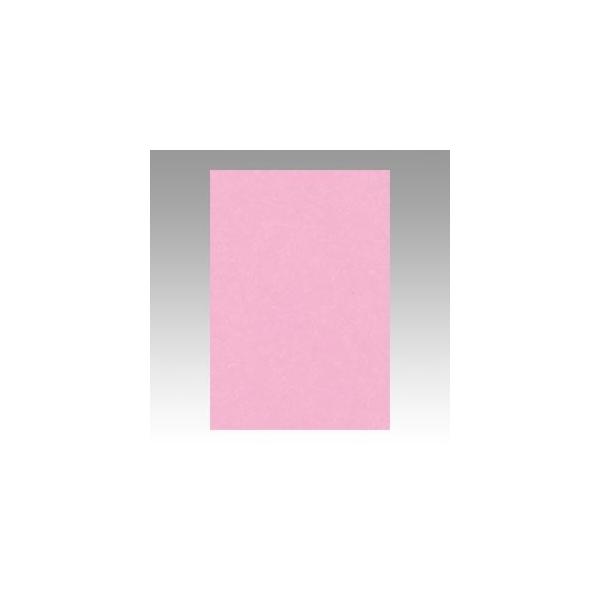 ^ Fp j[J[ 8 Ƃ 1  8NCR-234 [ ItBX pi