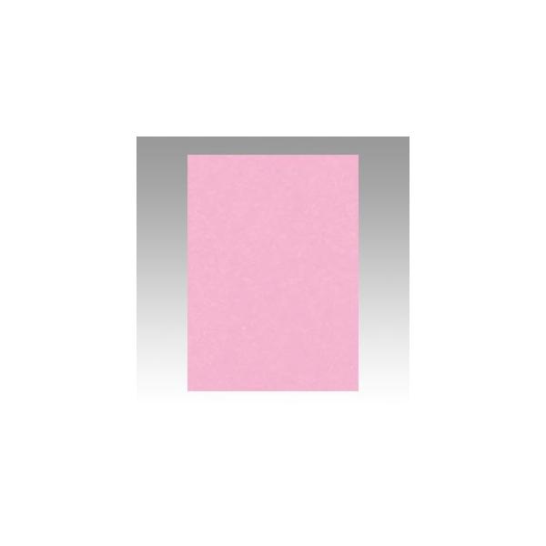 ^ Fp j[J[ 4 Ƃ 1  4NCR-234 [ ItBX pi